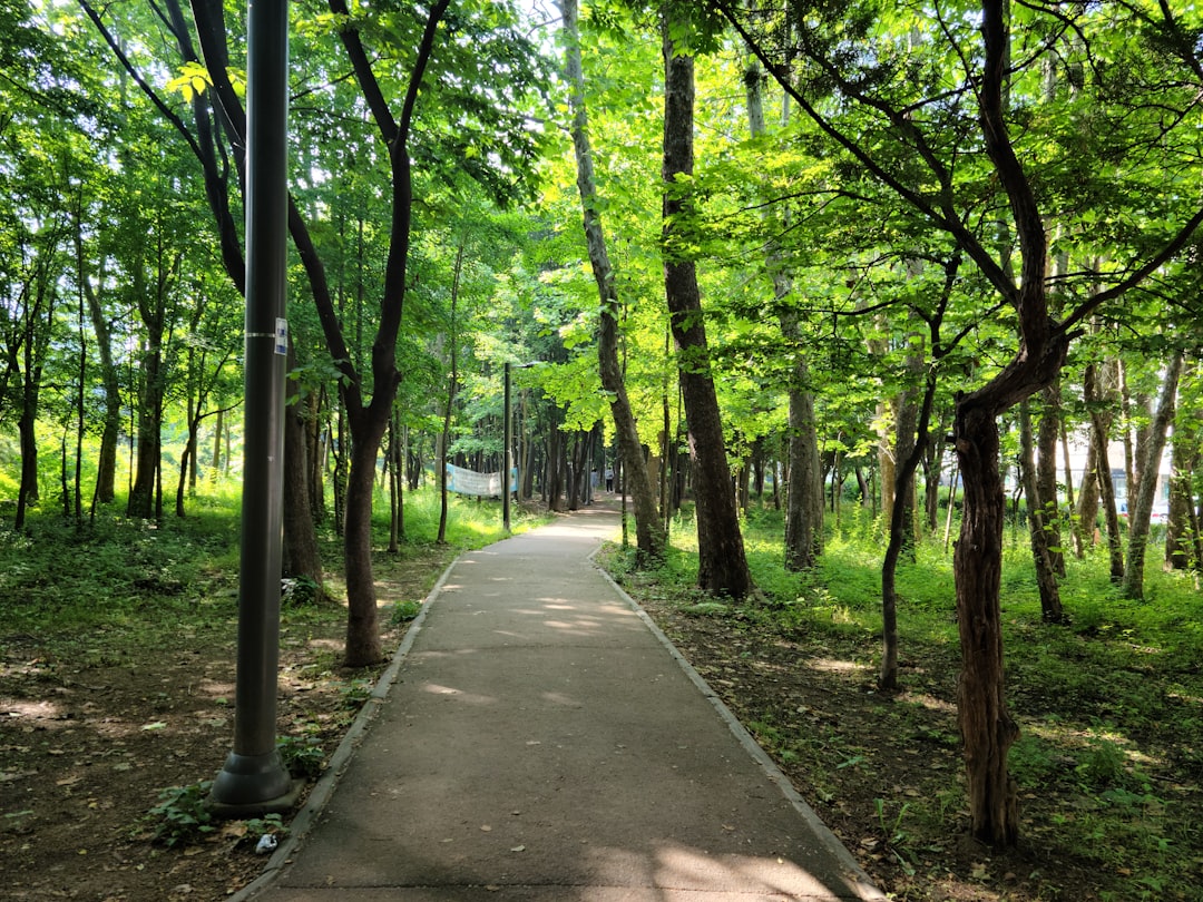 Spazierengehen für die Herzgesundheit